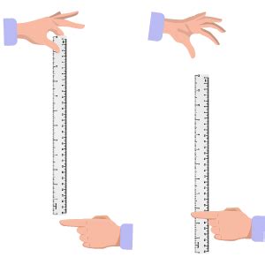 ruler drop test bbc bitesize|ruler drop test for reaction time.